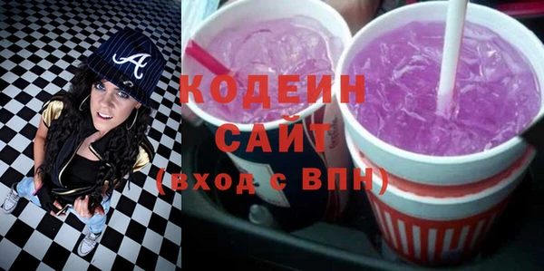 молекула духа Снежногорск