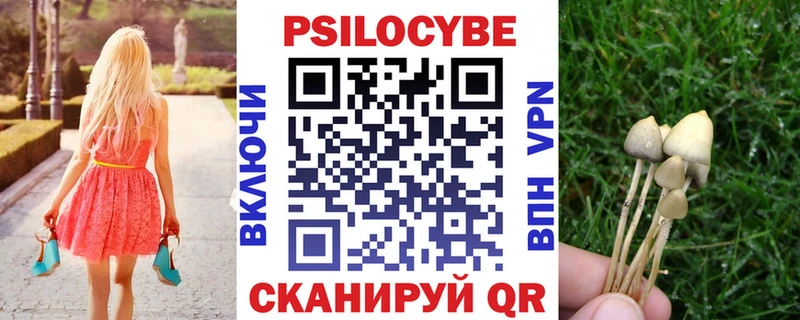 Галлюциногенные грибы MAGIC MUSHROOMS  hydra зеркало  сайты даркнета клад  Железногорск 