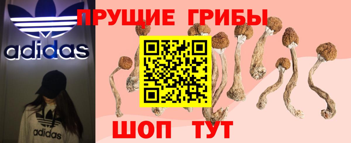 Железногорск  Галлюциногенные грибы Cubensis  сколько стоит  Вход с VPN 